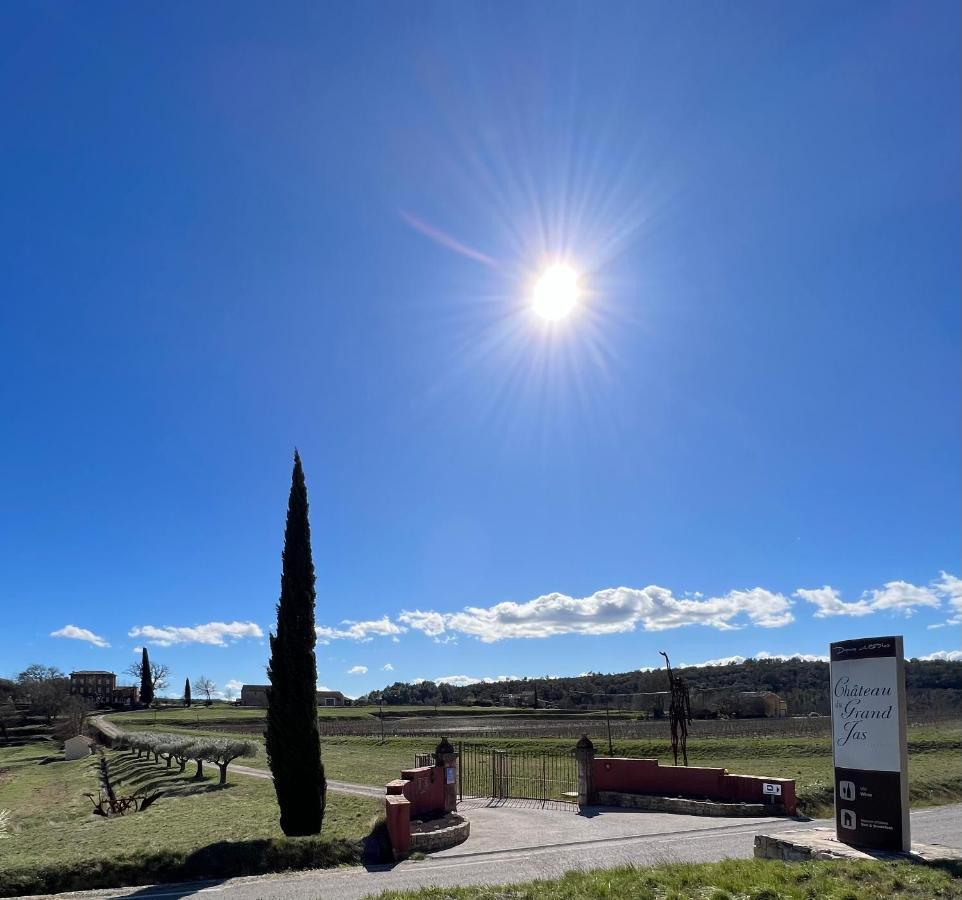 Chateau Du Grand Jas Entrecasteaux Eksteriør bilde