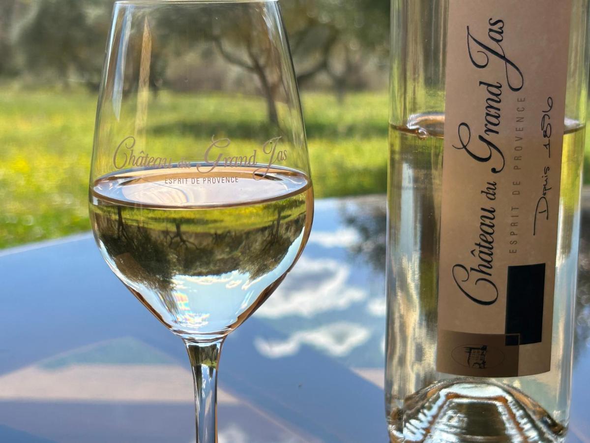 Chateau Du Grand Jas Entrecasteaux Eksteriør bilde