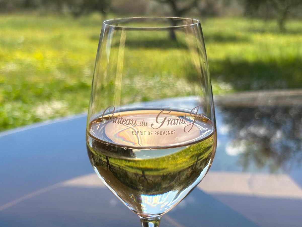 Chateau Du Grand Jas Entrecasteaux Eksteriør bilde